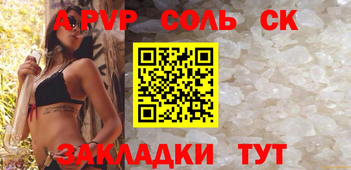 Alfa_PVP СК Тверь
