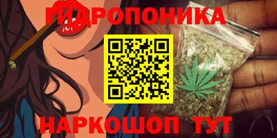 мяу мяу мука Мариинск
