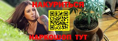 хмурый Малгобек