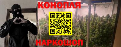 мяу мяу мука Мариинск