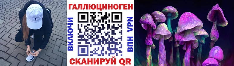 купить закладку Тверь маркетплейс телеграм Псилоцибиновые грибы Cubensis omg
