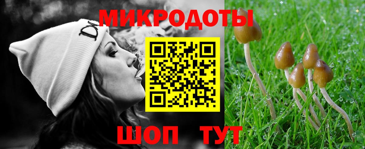 Галлюциногенные грибы мицелий  Вход с VPN  Тверь 