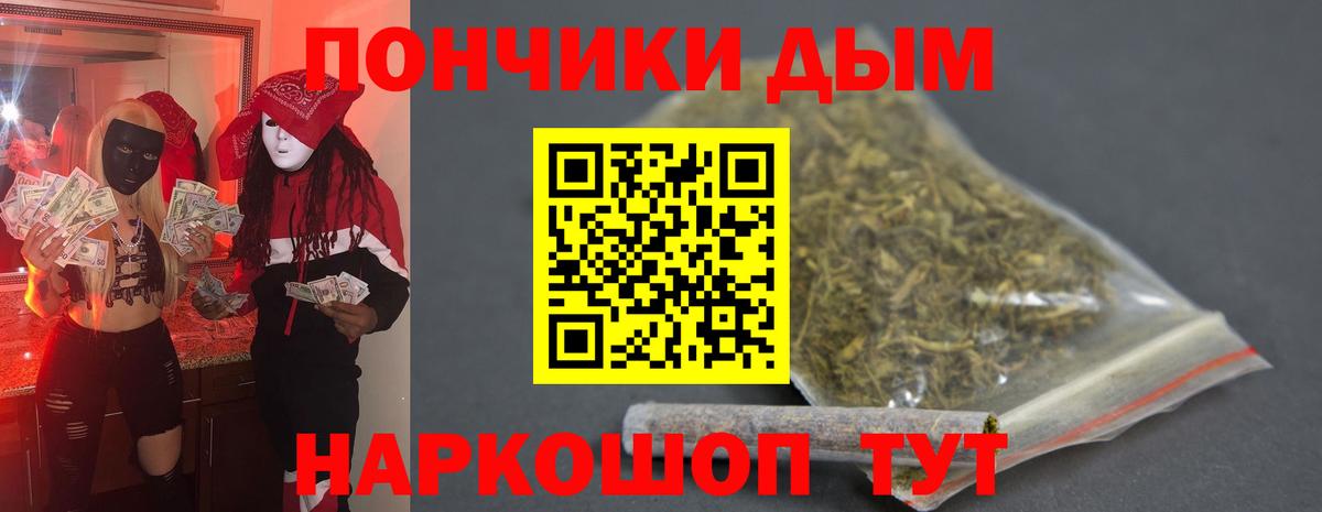 Марихуана сатива Тверь
